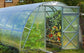 GREENHOUSE OPTIMA, 12M² (3M X 4M; 9.8FT X 13FT)