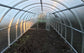 GREENHOUSE SIGMA 36M²