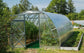 GREENHOUSE OPTIMA, 6M² (3M X 2M; 9.8FT X 6.5FT)