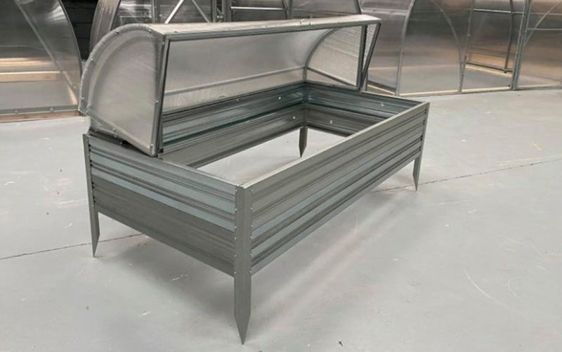 seedbed-irland-where-to buy